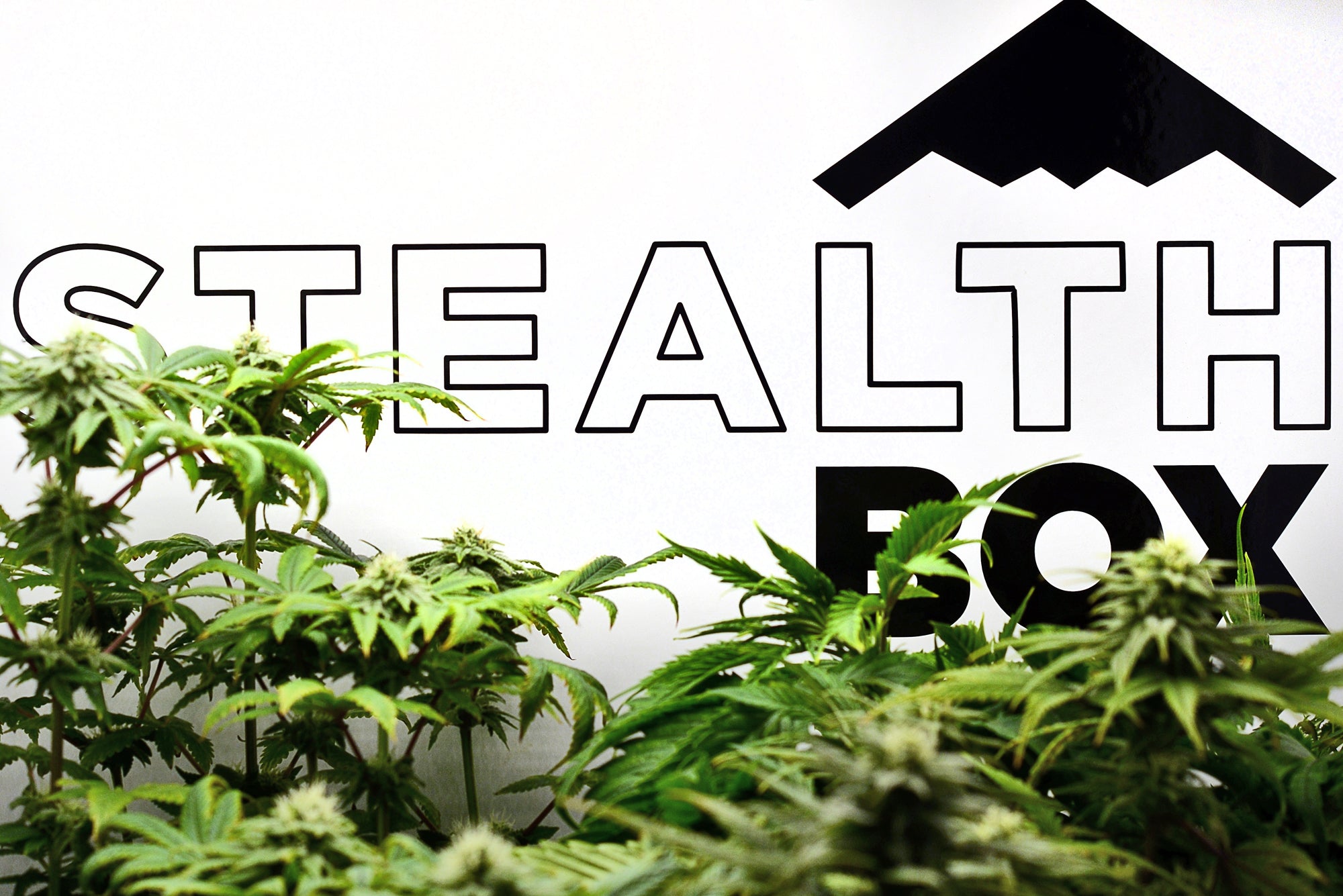 Stealth Box Lighting in Small Spaces Stealth Box USA